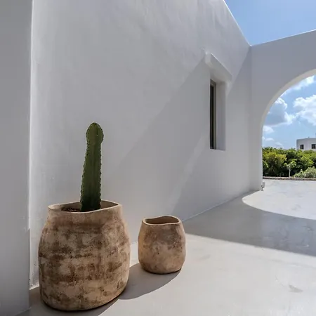 公寓 Joco Mykonos Nature N1 Mykonos Town